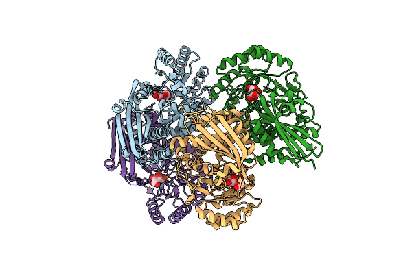3CB3 image