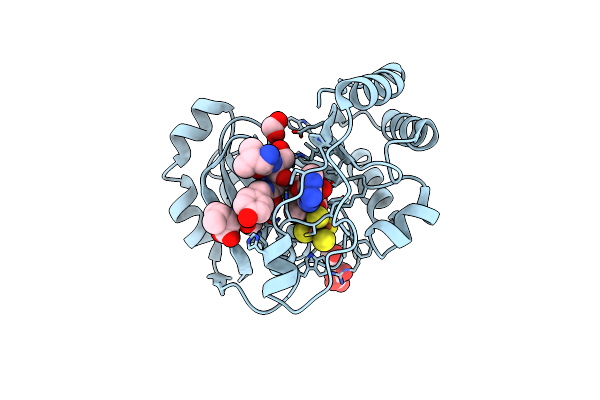 3CB8 image