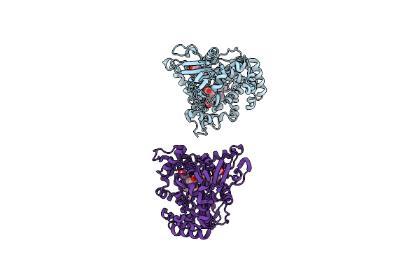 3CBD image