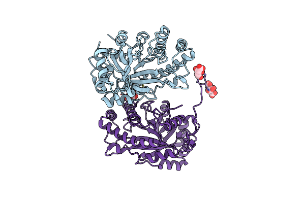 3CBW image