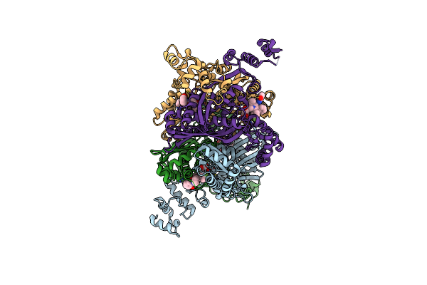 3CCT image