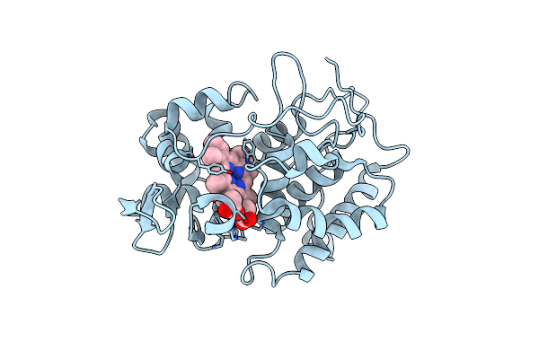 3CCX image