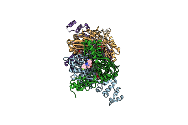 3CD0 image