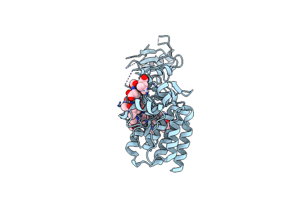 3CD3 image