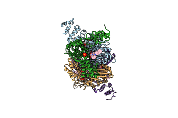 3CD5 image