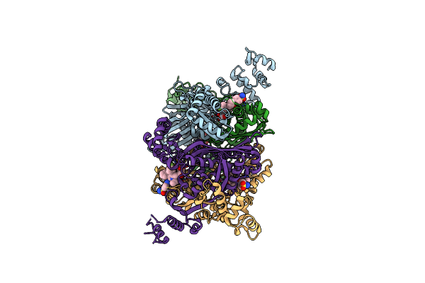 3CDA image