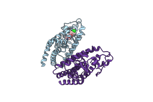 3CDP image