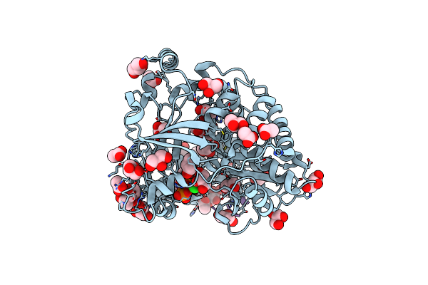 3CDW image