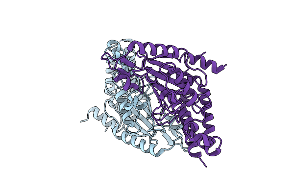 3CEG image