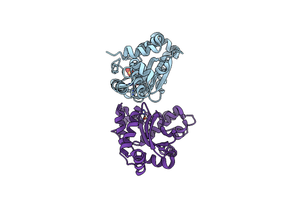 3CEI image
