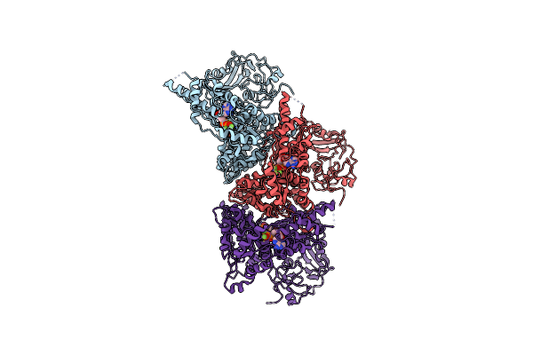 3CF1 image