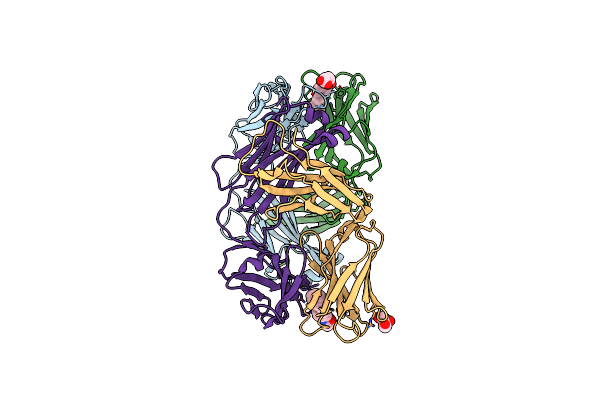 3CFD image