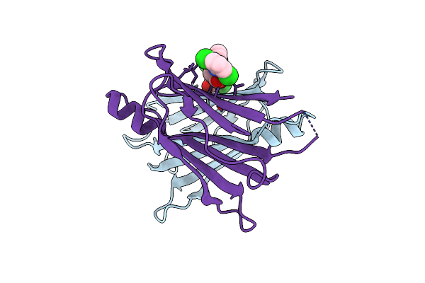3CFQ image