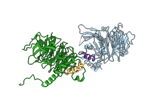 3CFV image