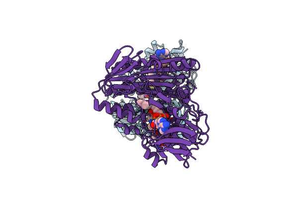 3CGB image