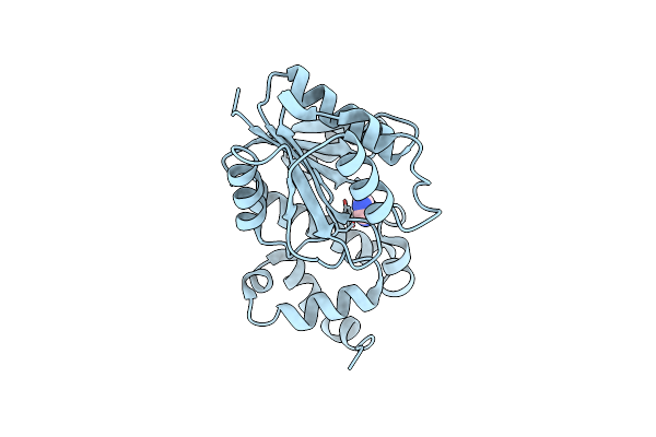 3CGX image