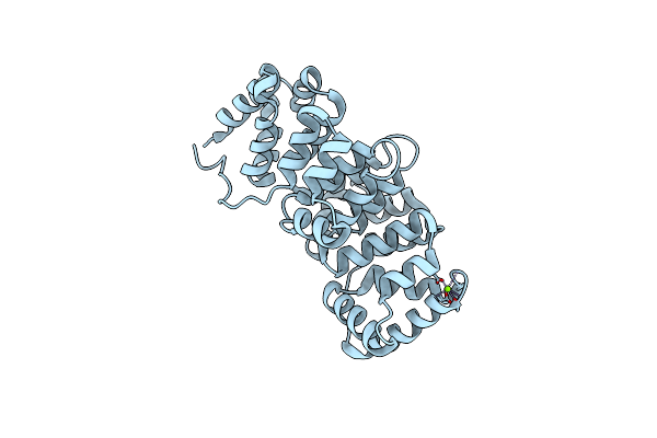 3CHL image