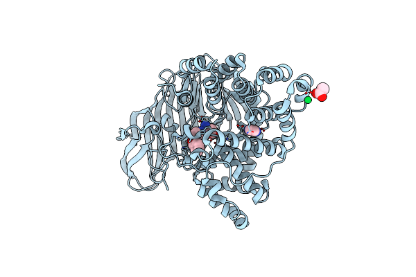 3CHP image