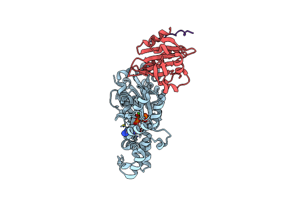 3CHW image