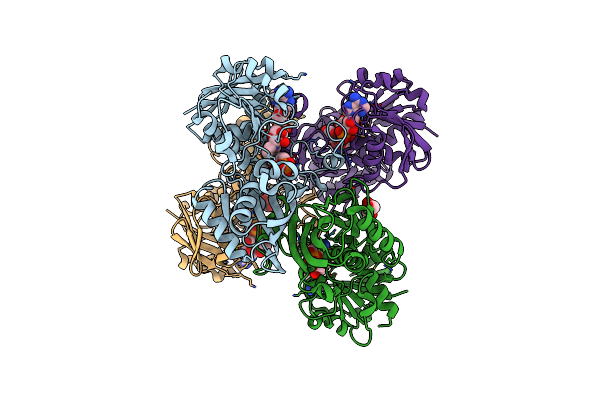 3CIF image