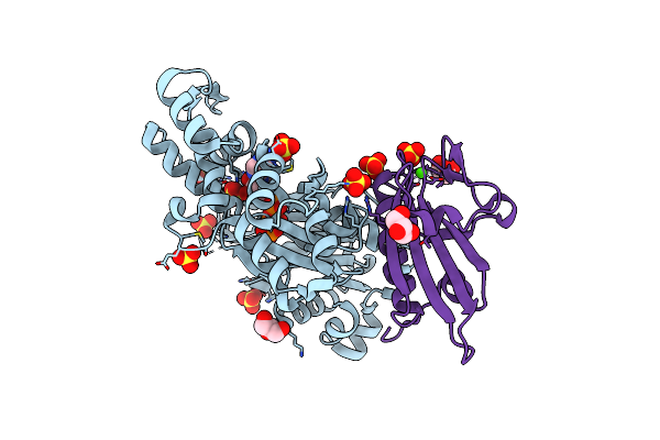 3CIP image