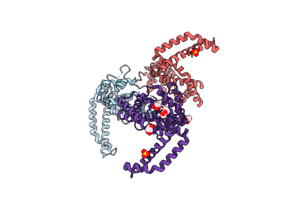 3CKD image