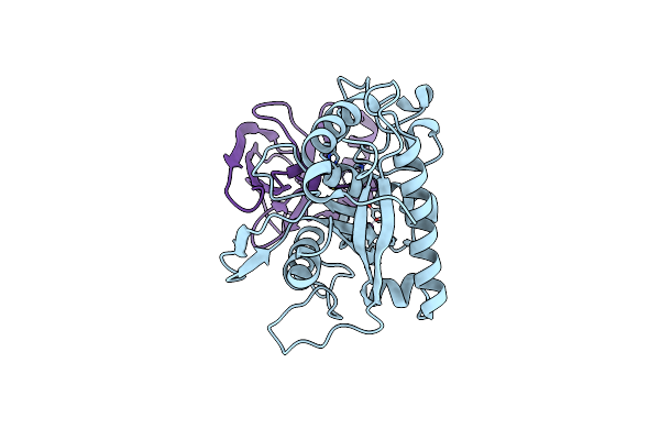 3CKI image
