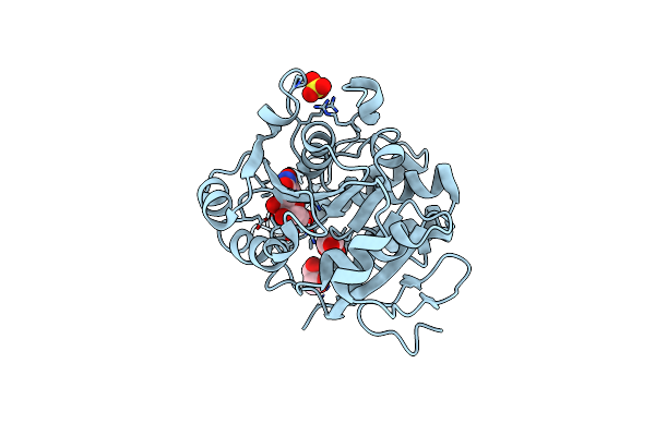 3CKO image
