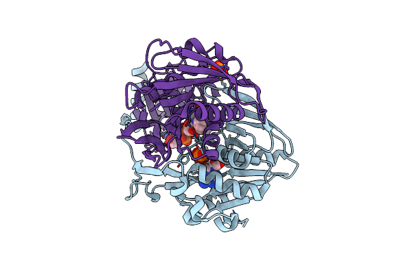 3CLR image