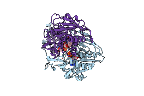 3CLS image