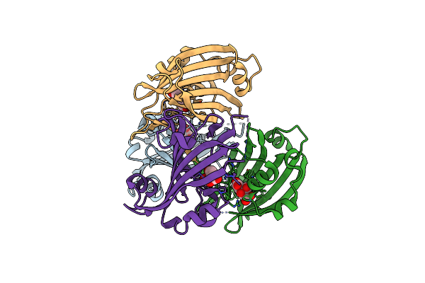 3CNV image