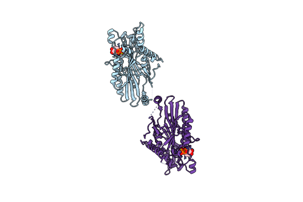 3COB image