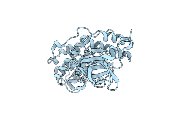 3COI image