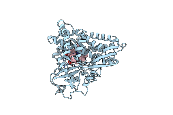 3CP4 image