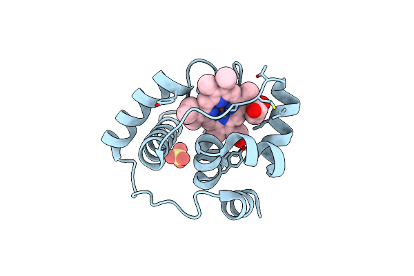 3CP5 image