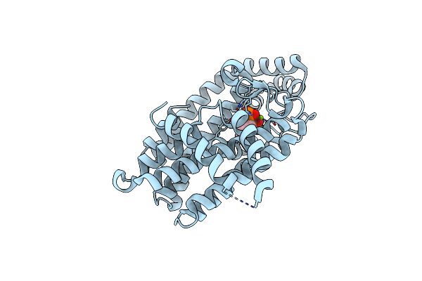 3CP6 image