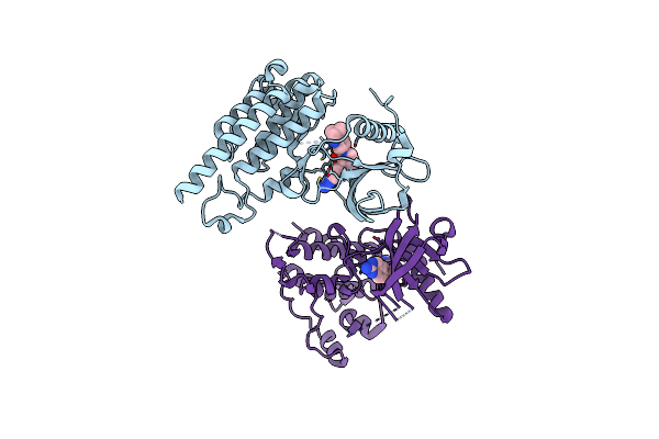 3CP9 image
