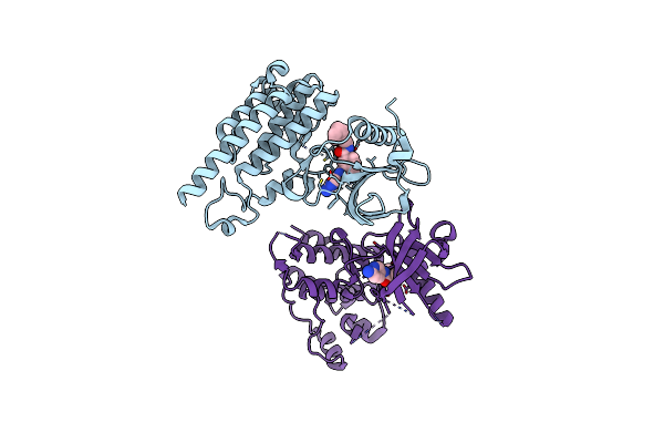 3CPB image