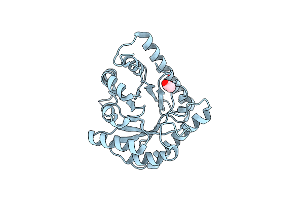 3CPG image