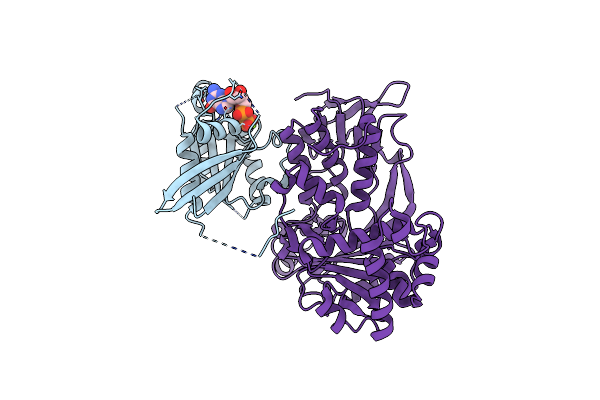 3CPJ image