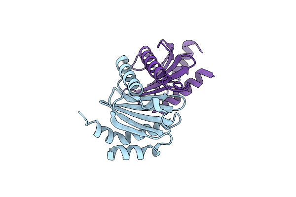 3CPT image