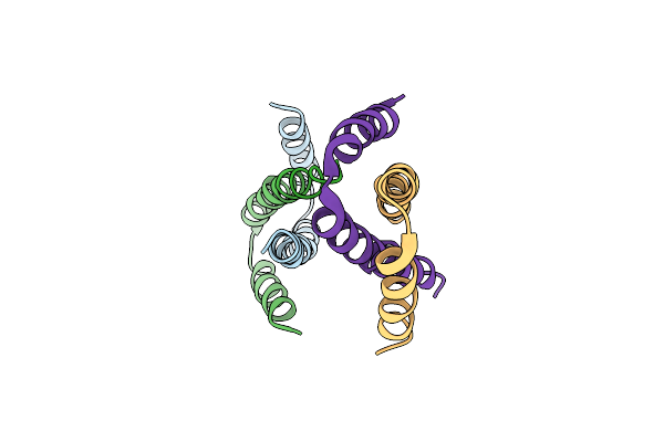 3CS5 image