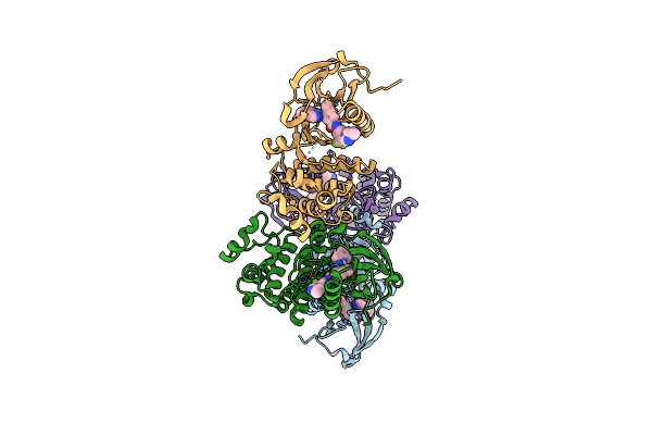 3CS9 image