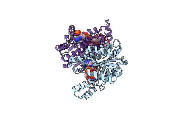 3CSD image