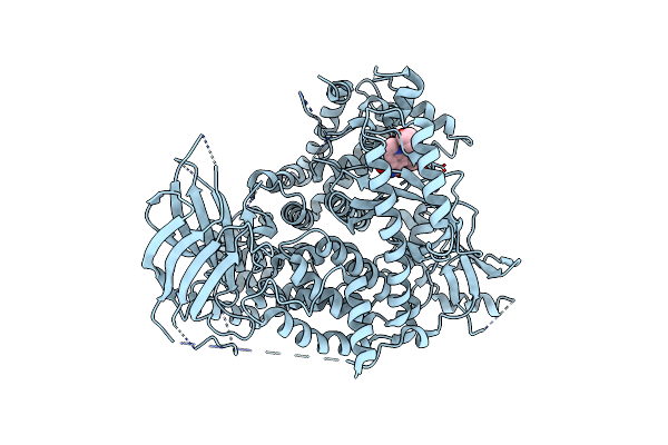3CSF image
