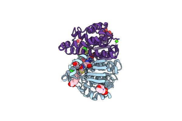 3CSH image