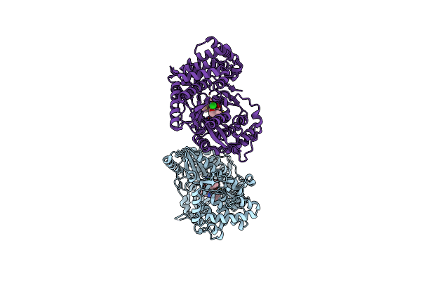 3CSO image
