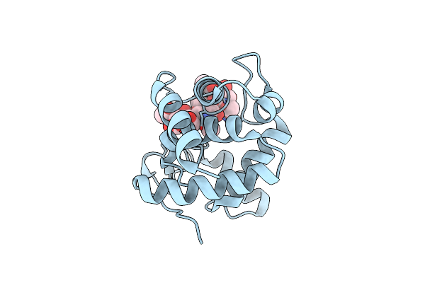 3CT1 image