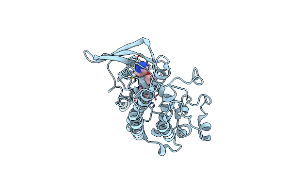 3CTH image