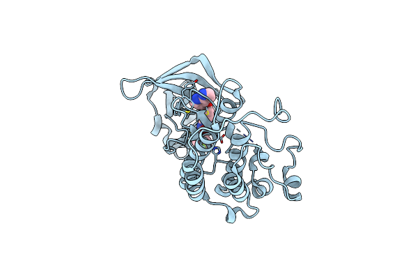 3CTJ image